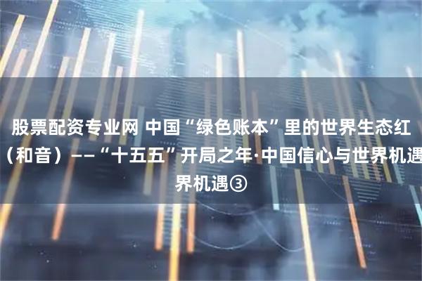 股票配资专业网 中国“绿色账本”里的世界生态红利（和音）——“十五五”开局之年·中国信心与世界机遇③